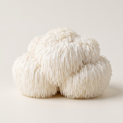 Lion's Mane